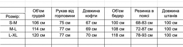Черный спортивный костюм с молнией на кофте и капюшоном на флисе К-973