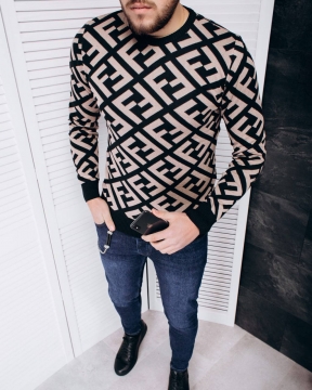 Модний чоловічий світшот Fendi style Т-491 