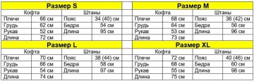 Модный светлый теплый турецкий спортивный костюм на флисе К-596