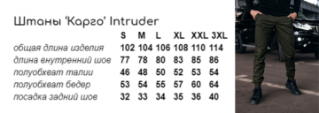 Серые штаны карго Intruder весна-осень Б-466