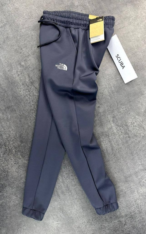Темно-сірі брендові чоловічі штани North face Б-483