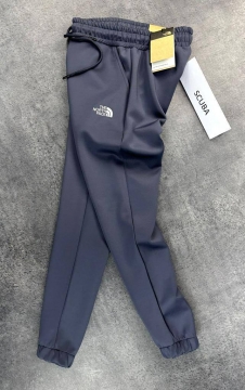 Темно-сірі брендові чоловічі штани North face Б-483
