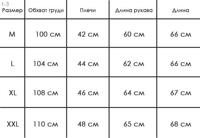 Серая Толстовка Т-3
