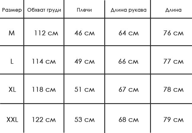 Строгая Зимняя Куртка Dsquared Z-1280